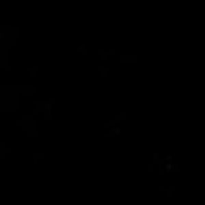 Meet your Posher, Gamer